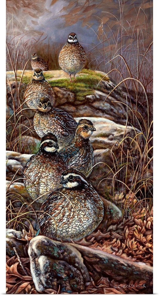 Contemporary painting of quails sitting on rocks.
