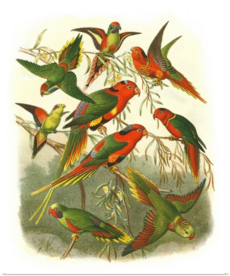 Red Cassel Birds I