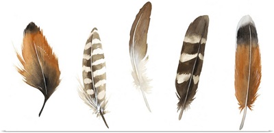 Red Rock Feathers I