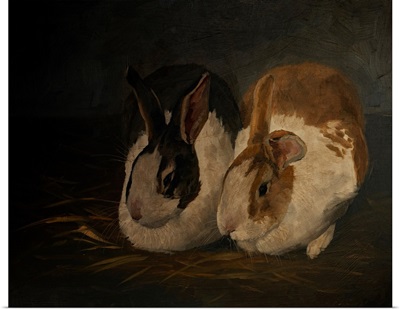 Resting Bunny Rabbit IV
