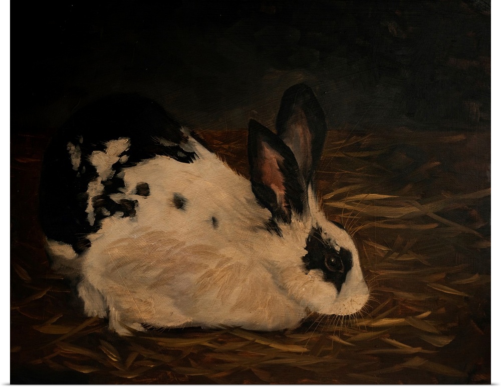 Resting Bunny Rabbit V