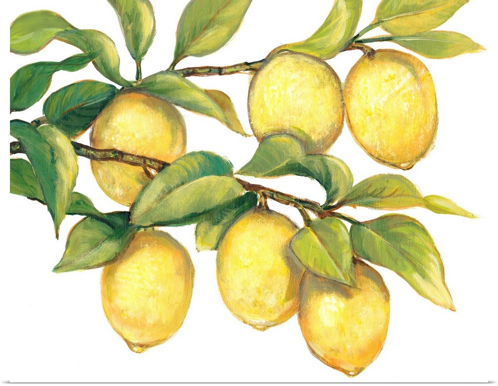 Contemporary painting of ripe lemons hanging from a tree branch.