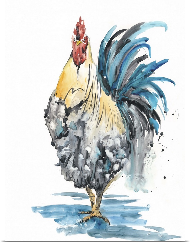 Contemporary watercolor painting of a rooster splashing in a puddle.