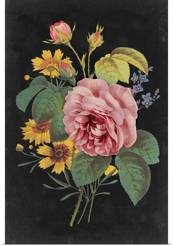 Vintage stylized floral bouquet in an illustrative style, against a black background.