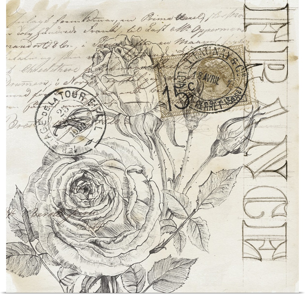 Decorative artwork of rose line art with french embellishments and text.