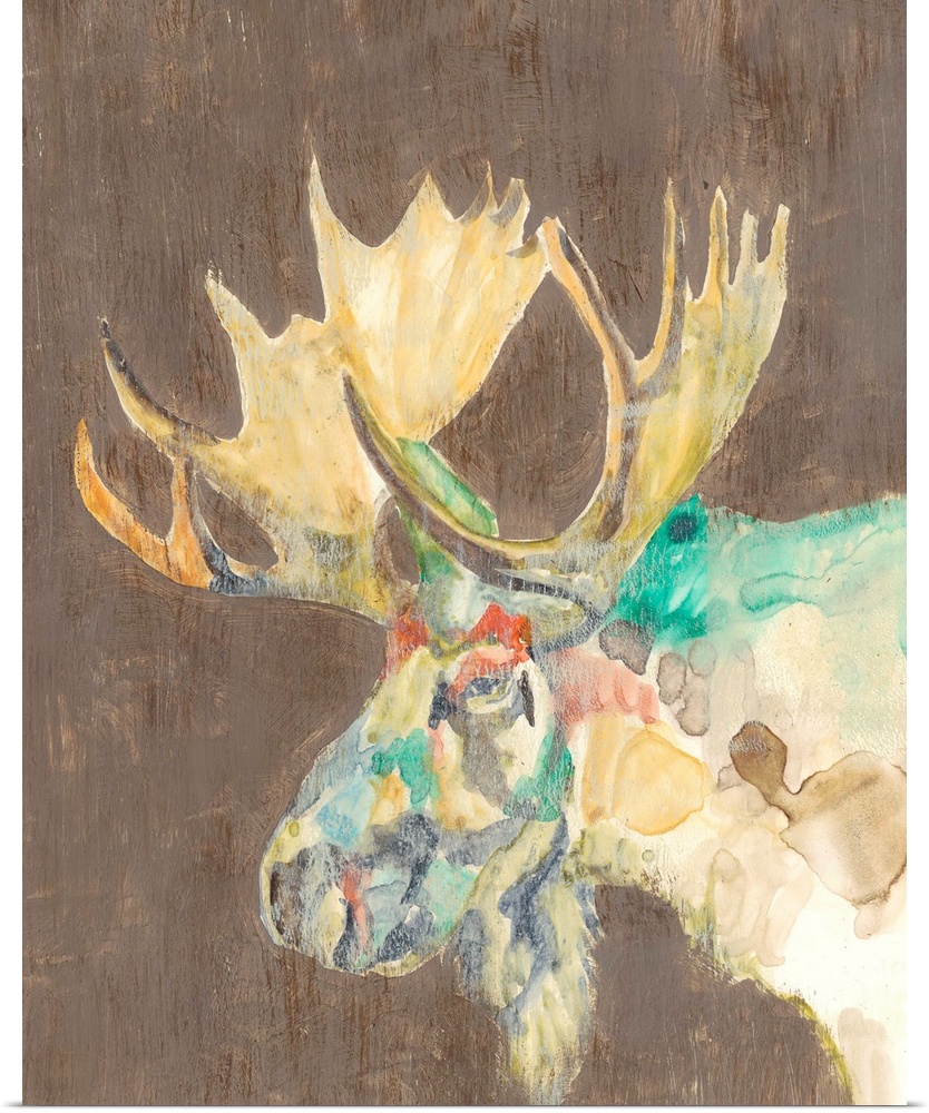 Contemporary portrait of a moose with large antlers.