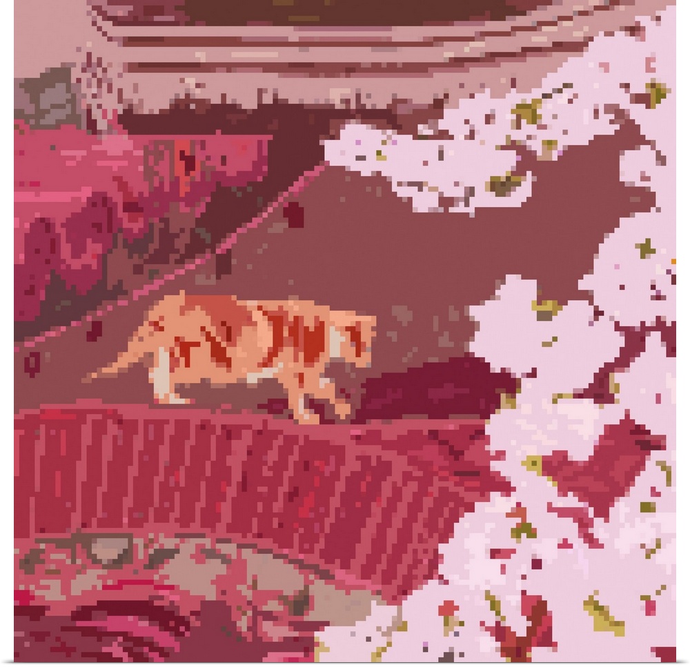 Sakura Cat I