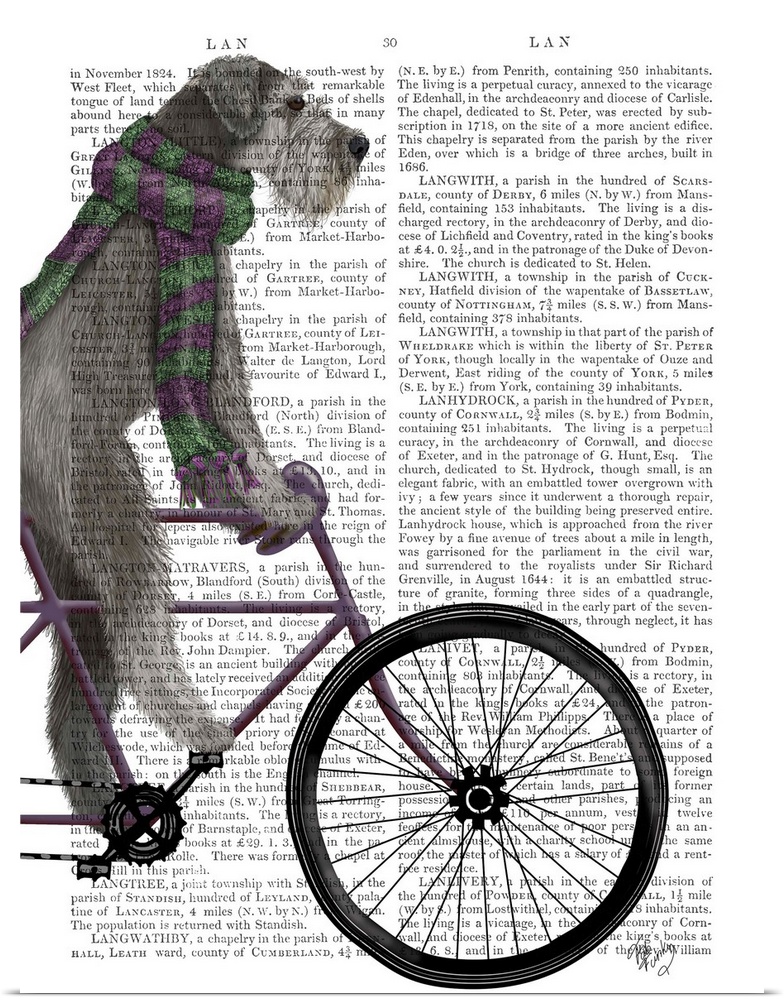 Decorative artwork with a Schnauzer wearing a scarf and riding on a bicycle, painted on the page of a book.