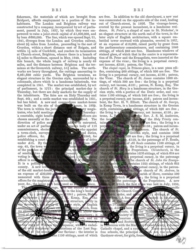 Decorative artwork of two Schnauzers riding on a tandem bicycle, painted on the page of a book.