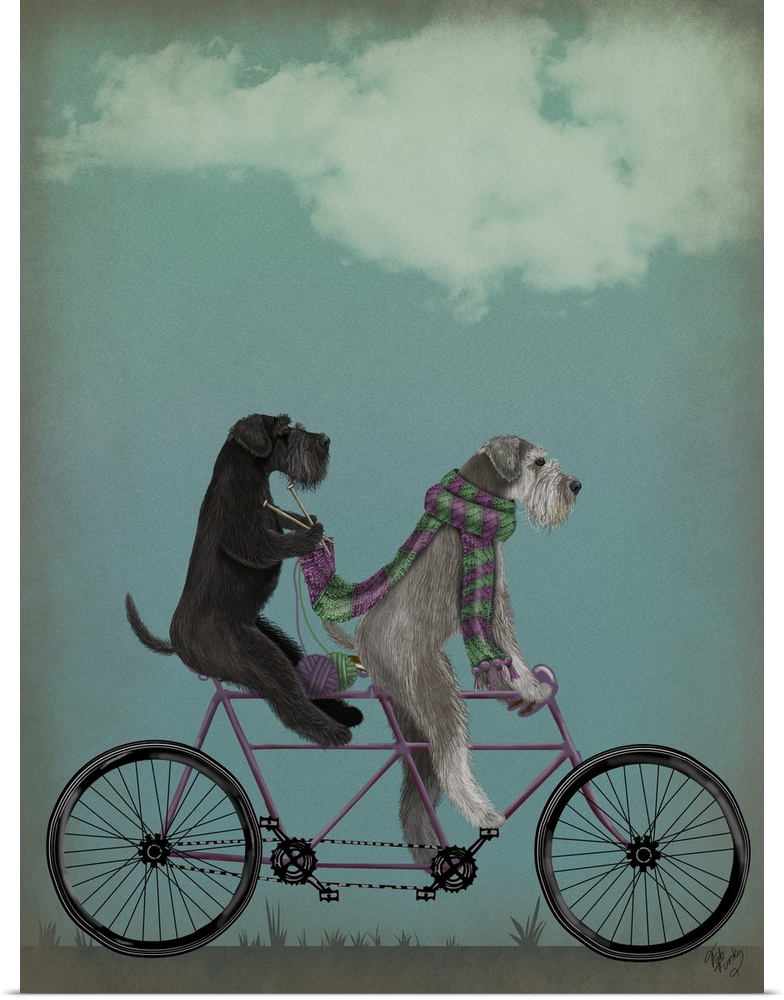 Decorative artwork of two Schnauzers riding on a purple tandem bicycle while the one in the back is knitting the scarf the...