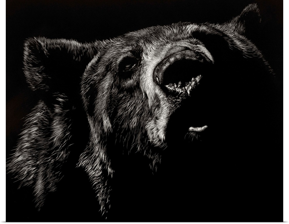 Black and white illustration of a bear up close.