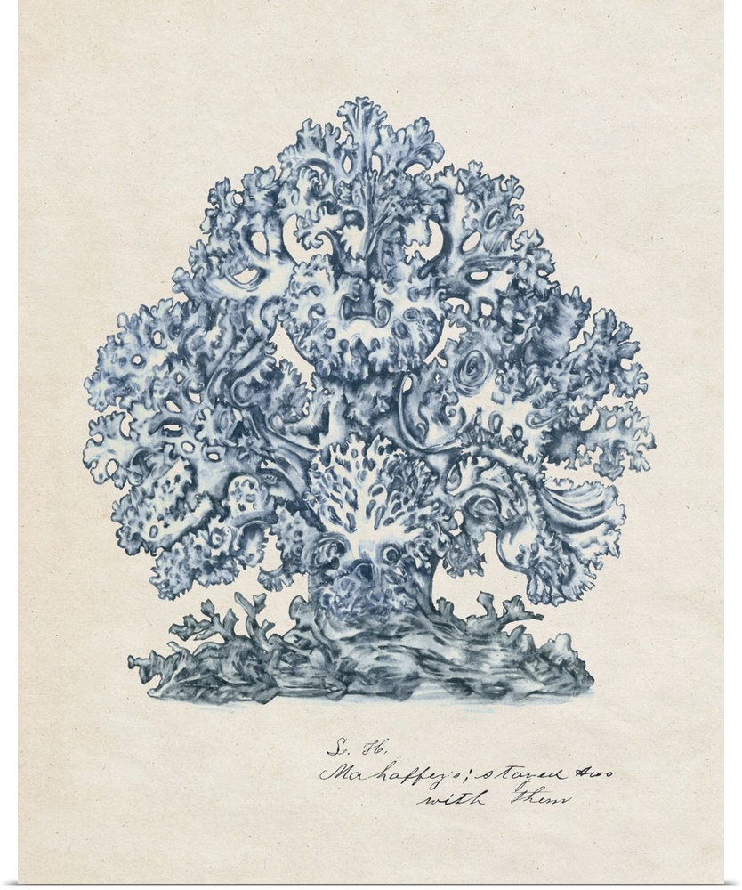 A watercolor illustration of details of coral in blue against a beige backdrop.