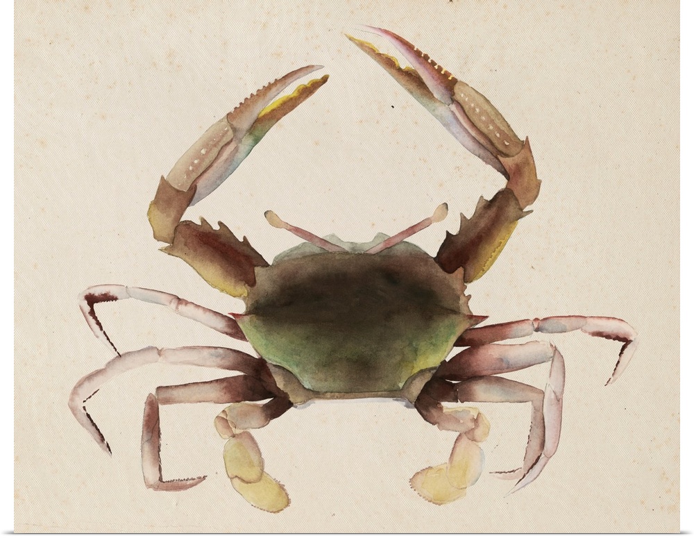 Contemporary watercolor painting of a crustacean against a neutral background.
