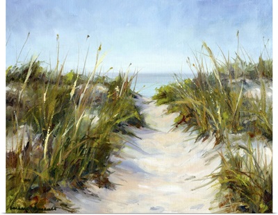 Seagrass and Sand
