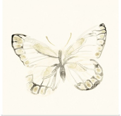 Sepia Butterfly Impressions I