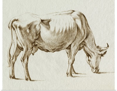 Sepia Grazing Cow Sketch I