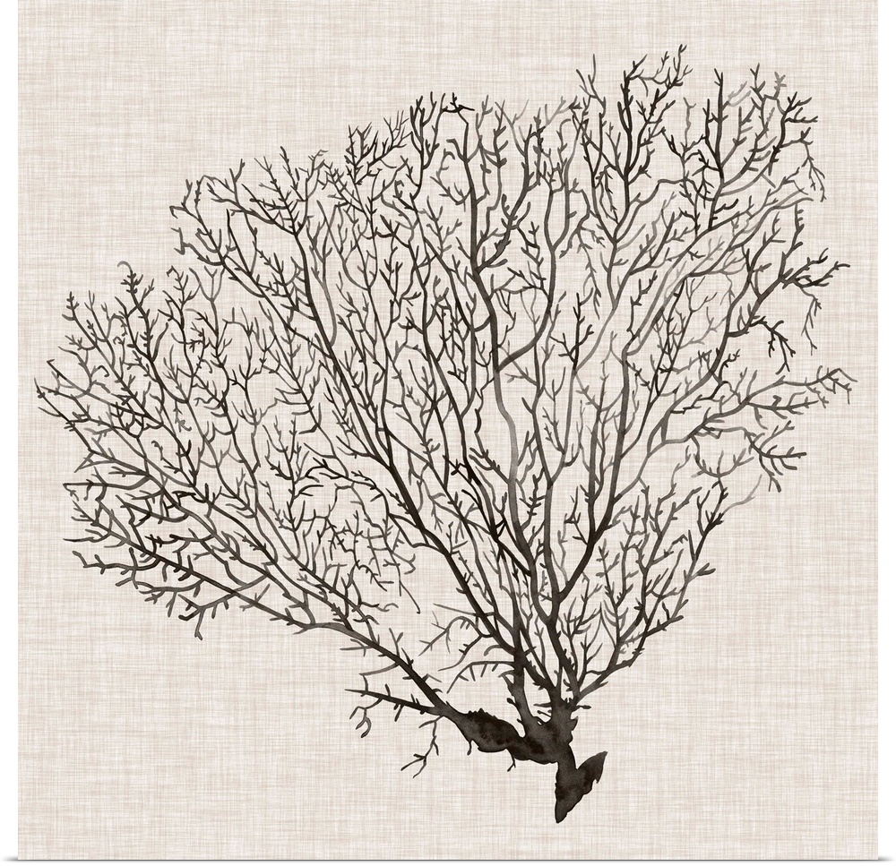 Contemporary decor artwork of a coral sea fan in black against a textured background.