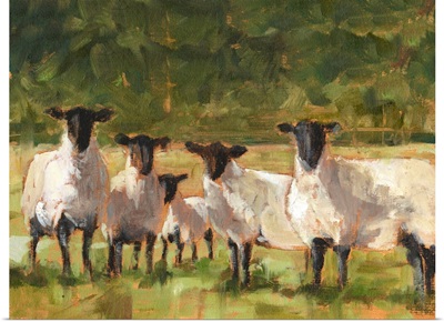 Sheep Family II