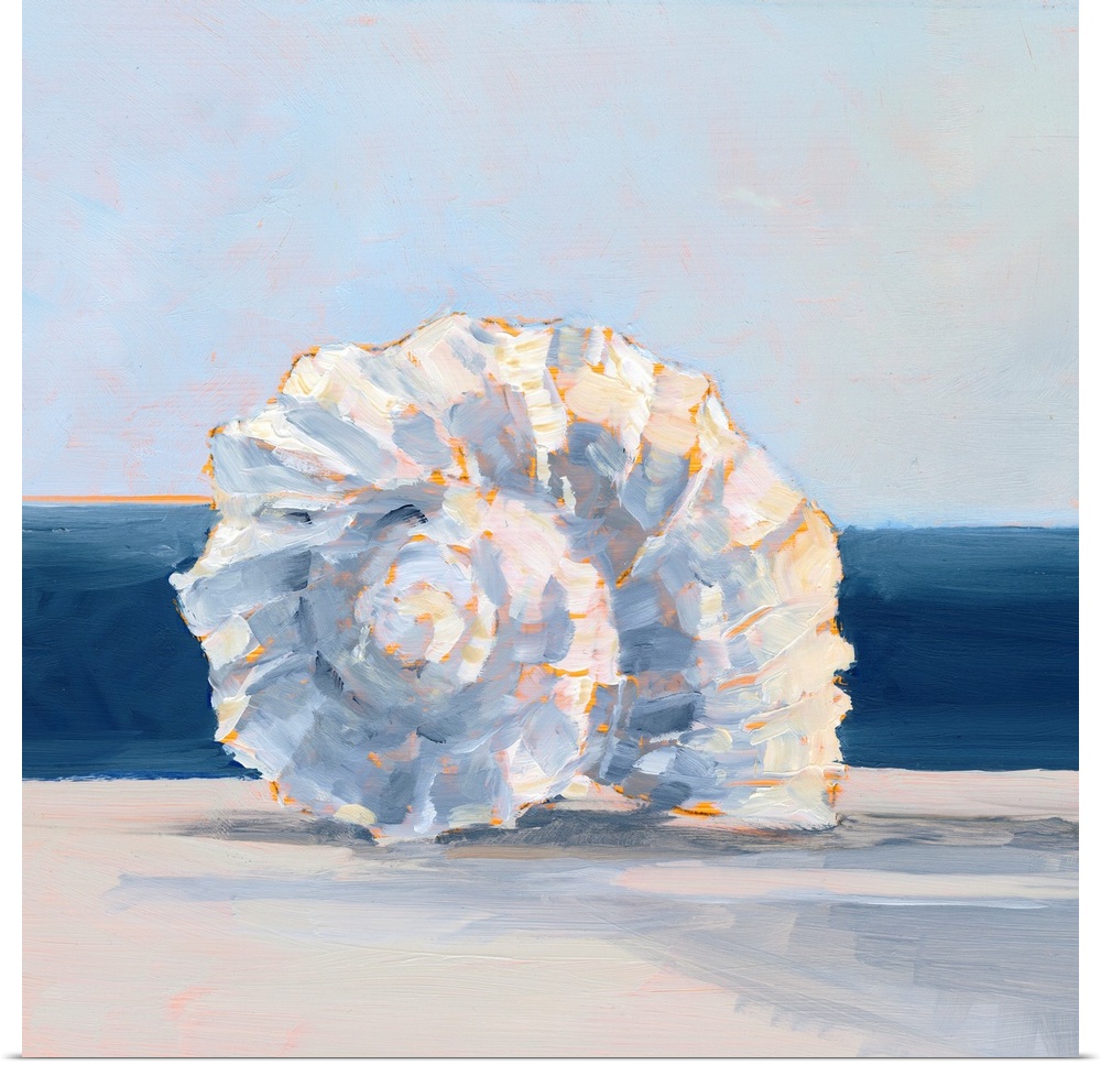 Shell By The Shore IV