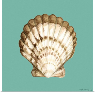 Shell on Aqua III