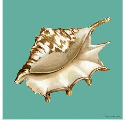 Shell on Aqua IV