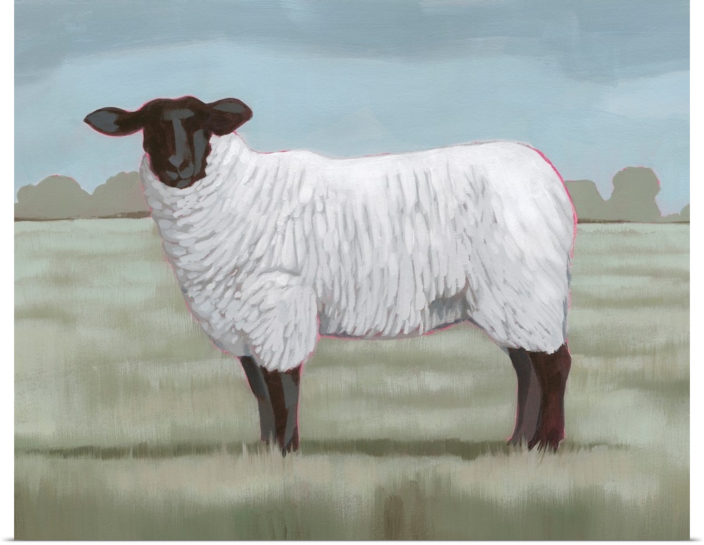 Shepherd's Sheep II