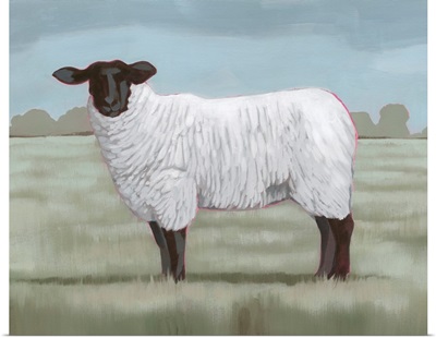 Shepherd's Sheep II