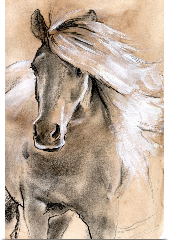 Sketched Horse I