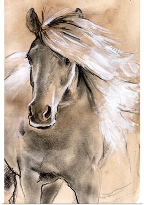 Sketched Horse I