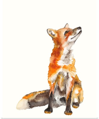 Sly Fox I