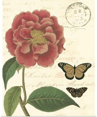 Small Vintage Floral III