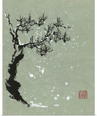 Snowy Pine I