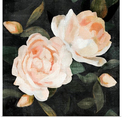 Soft Garden Roses II