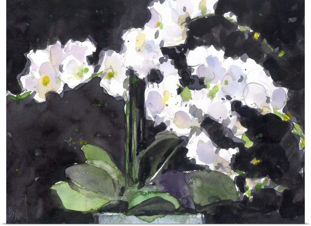 Watercolor painting of white orchids in a vase.