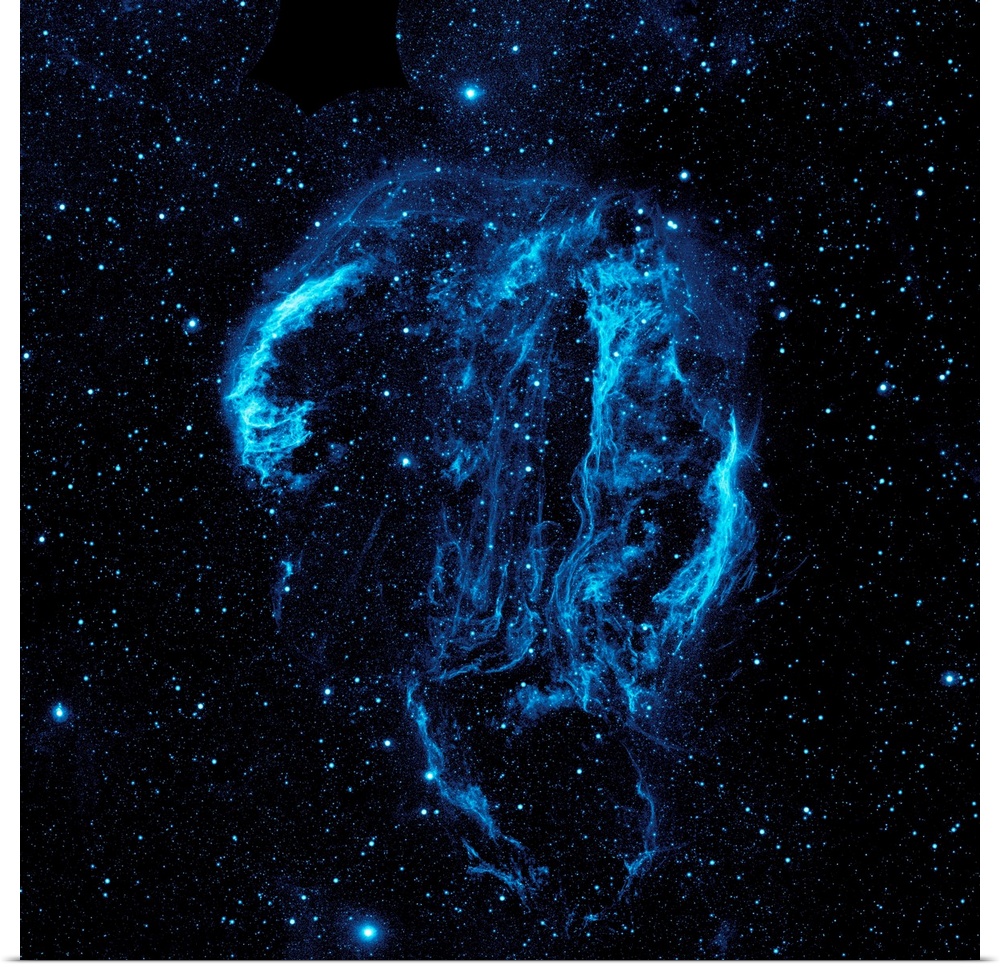 Wispy tendrils of hot dust and gas glow brightly in this ultraviolet image of the Cygnus Loop nebula, taken by NASA's Gala...