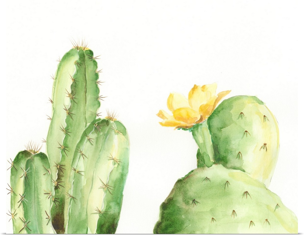 Adorable watercolor cacti with bright yellow flowers flourish on a white background in this decorative artwork.
