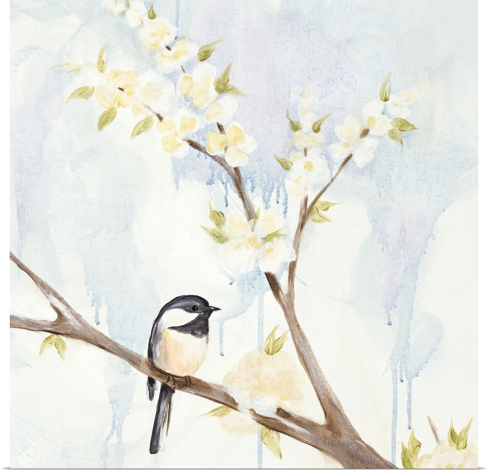Watercolor illustration of a chickadee perched on a flowering branch.