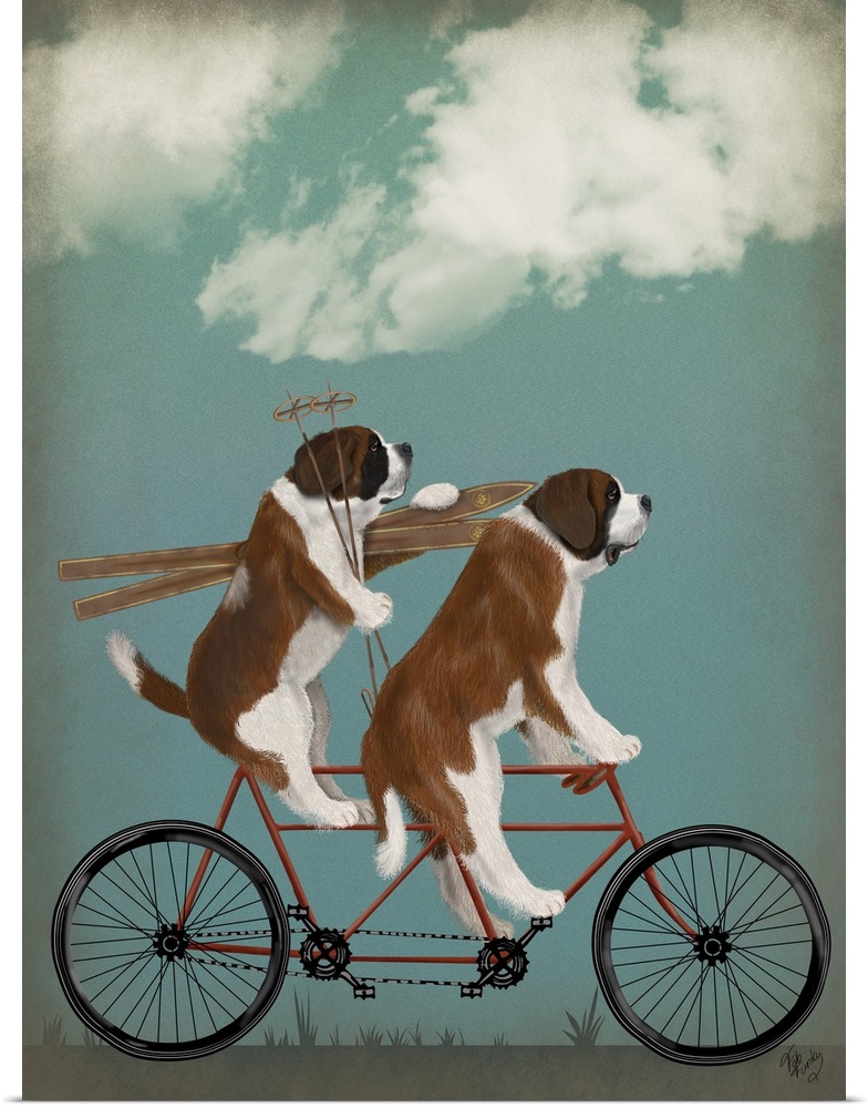 Decorative artwork of two St. Bernards riding on a tandem bicycle with skiing equipment.