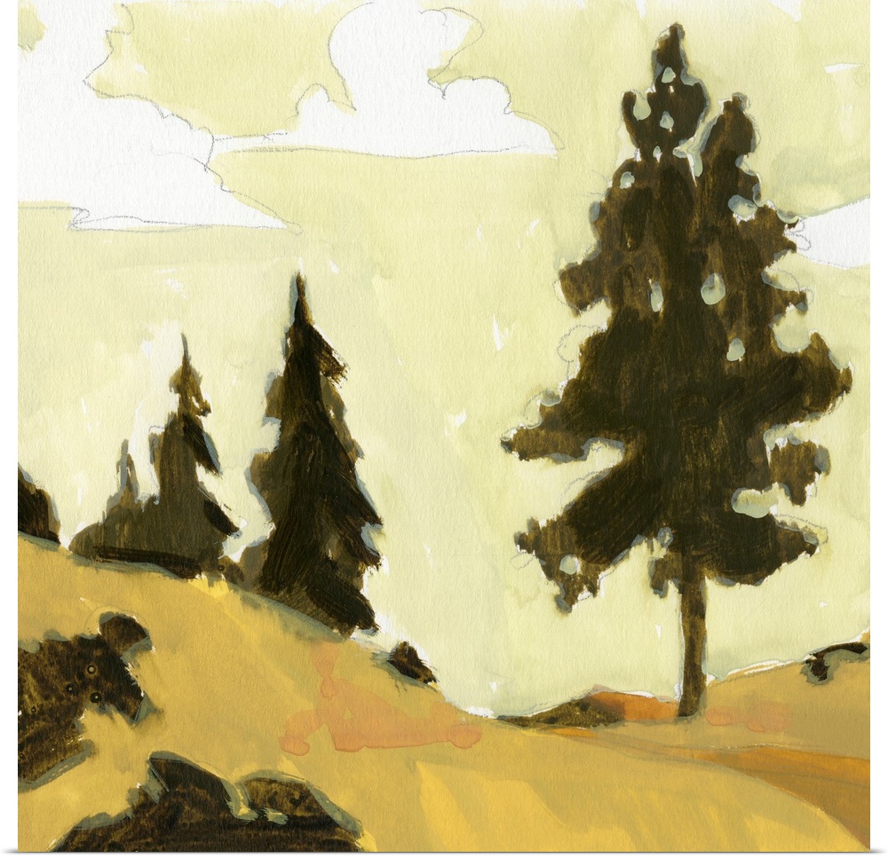 State Park Pine Sketch I