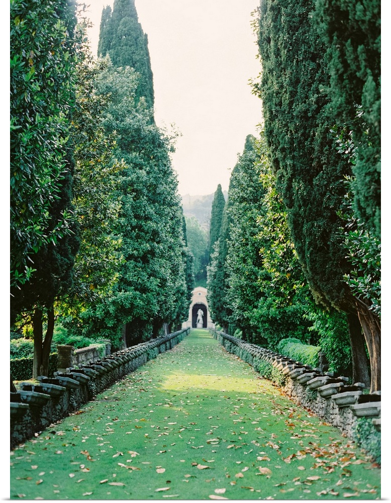Photograph taken between an avenue of tall trees with a statue at the far end, Lake Como, Italy.