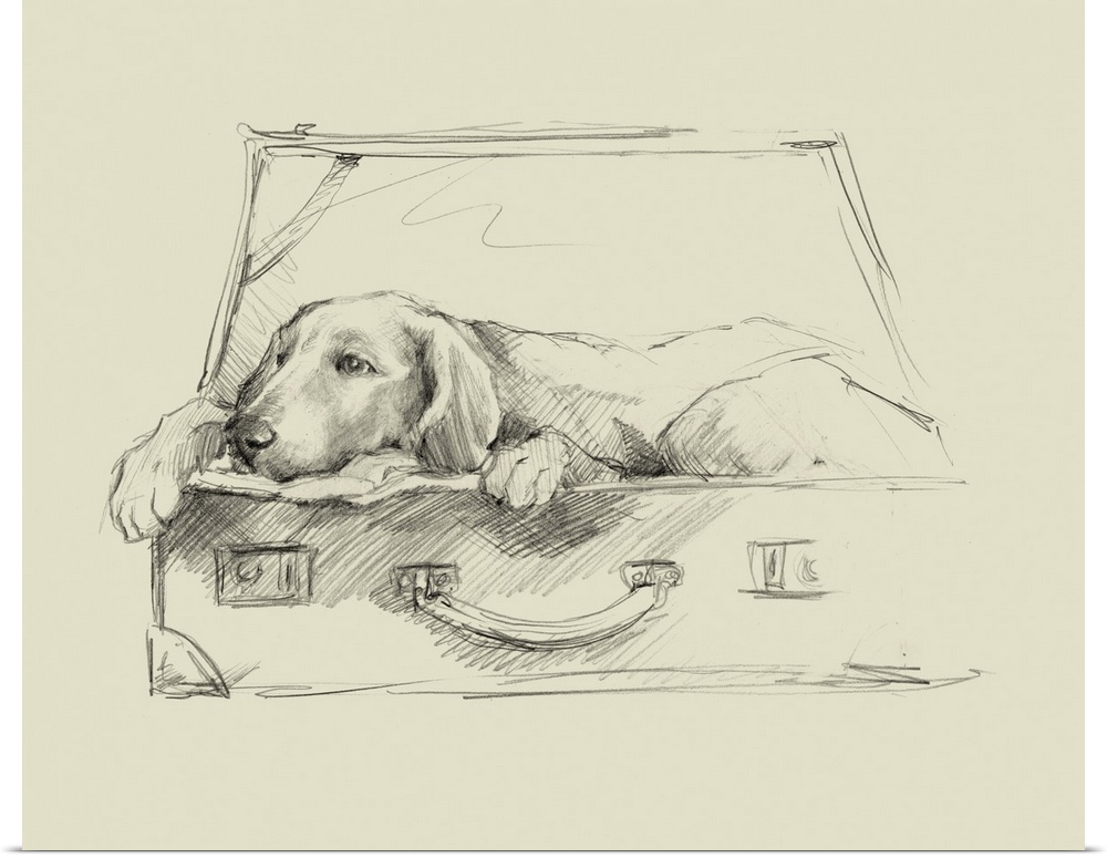 Sketch style illustration of a dog laying in an open suitcase.