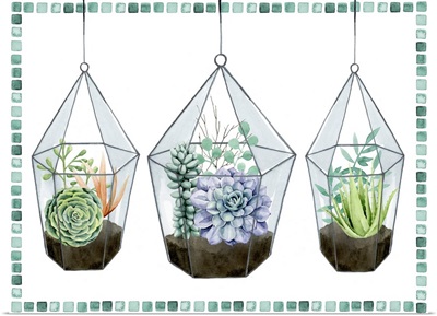 Succulent Swatch Collection A