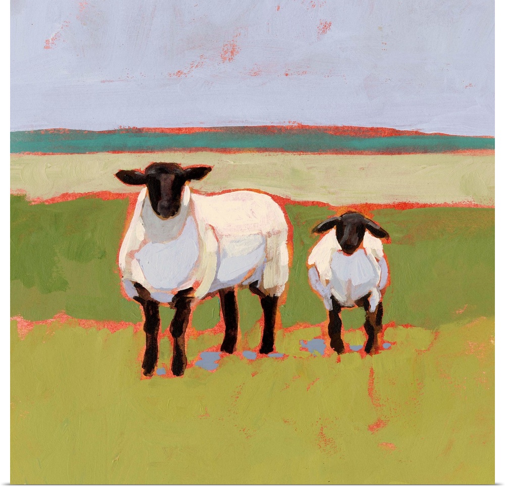 Suffolk Sheep I