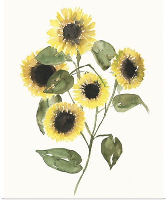 Sunflower Composition II