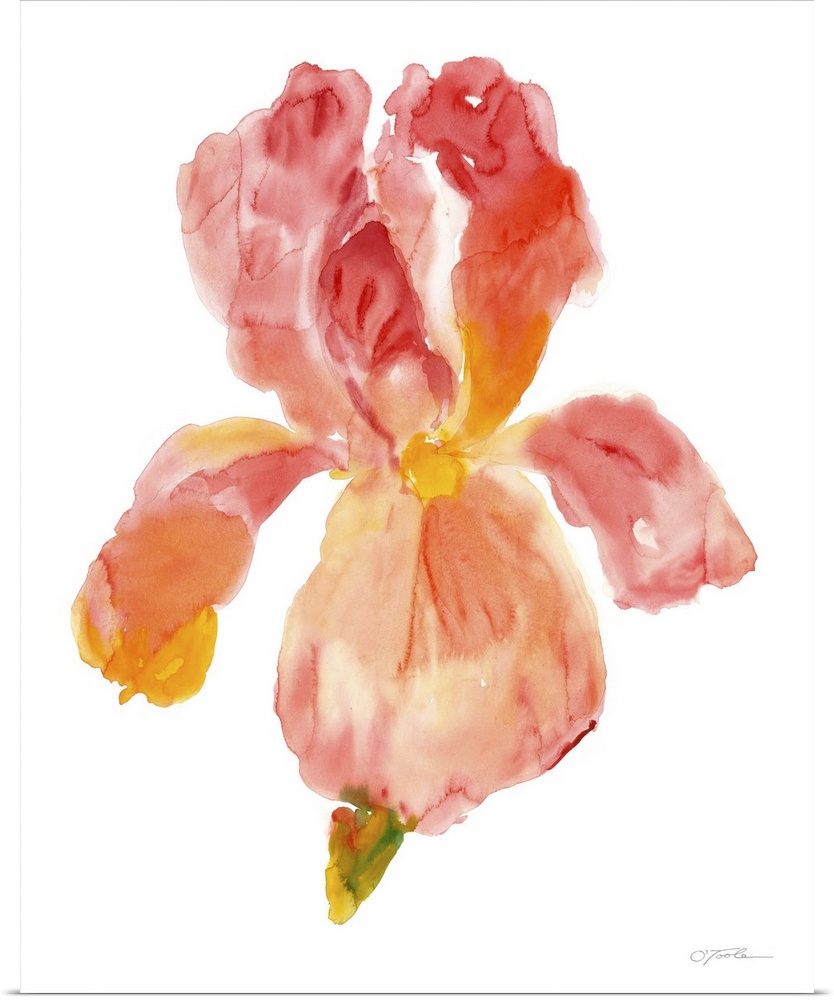 Contemporary watercolor painting of a flower in warm red and orange tones.