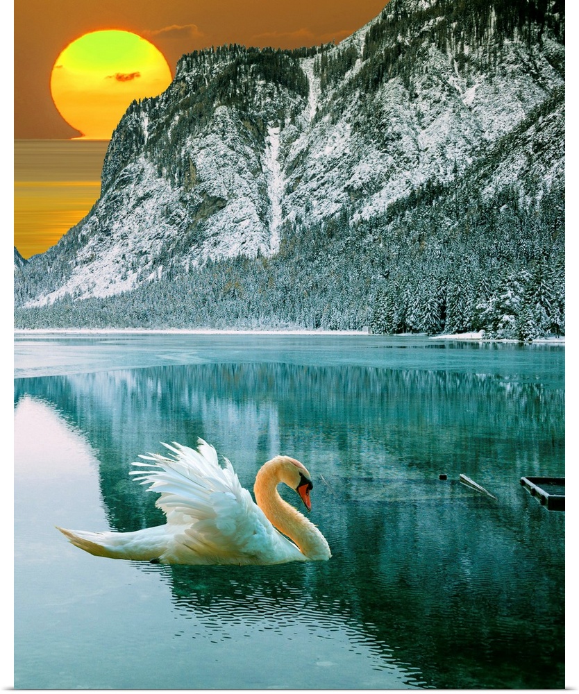 A contemporary surrealist collage of a swan on a calm blue lake in front of a snowy mountain and a setting sun