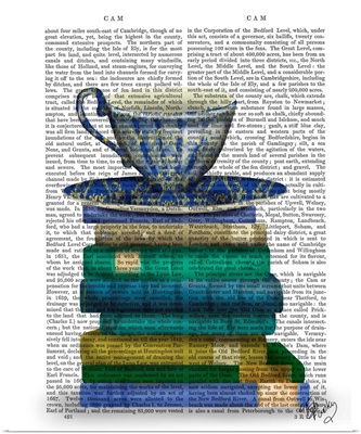 Teacup and Books