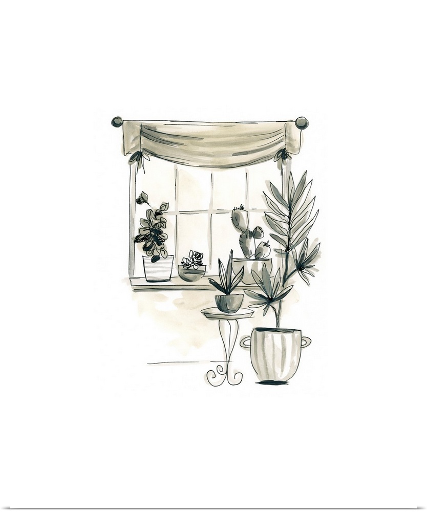 The Plant Lady's Window II