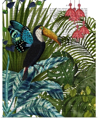 Toucan in Tropical Forest