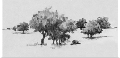 Treeline Sketch II